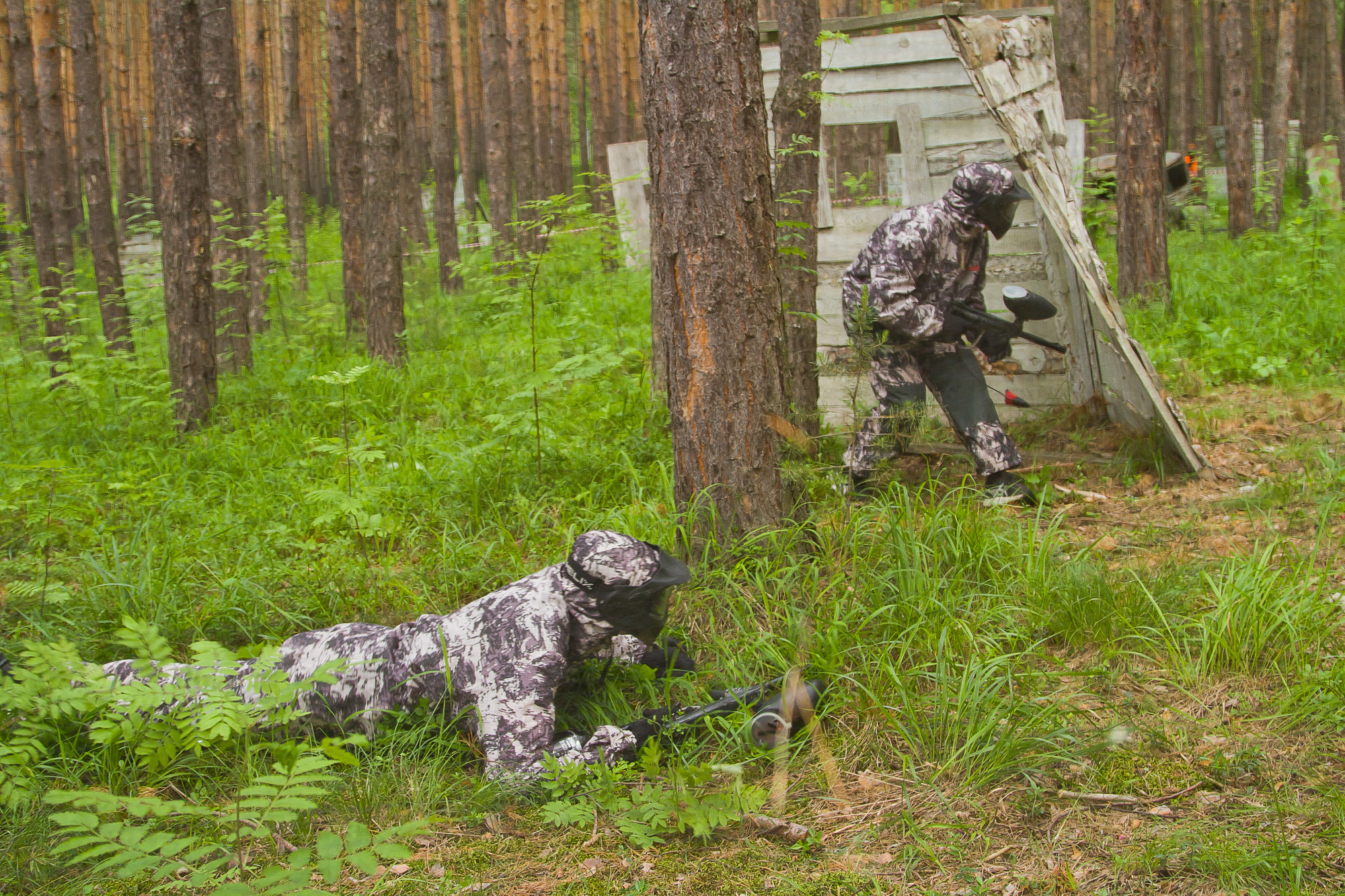 Пейнтбол